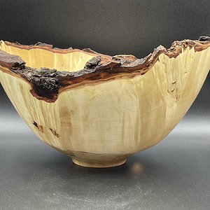 Natural Edge Maple #431