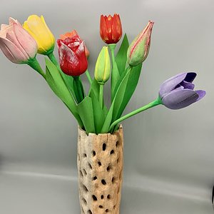 Spring Tulips