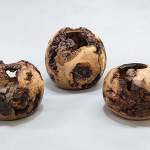 Oak Burl trio