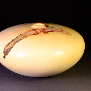 Box Elder Hollow Form