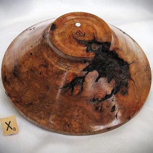 2101 Australian Yellow Box Burl with big void