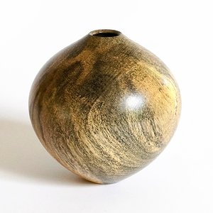 California buckeye hollow form