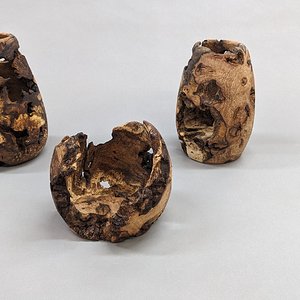 Oak Burl - second trio