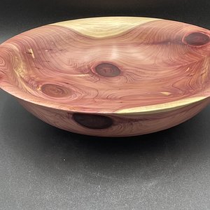 Eastern Red Cedar