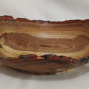 Live Edge Sassafras Bowl