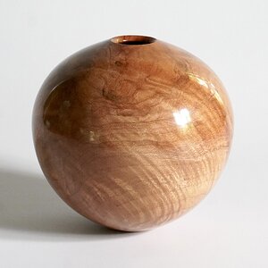 Applewood burl hollow form #2