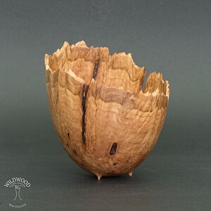 Coolabah Burl Vessel