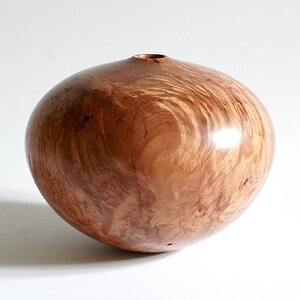 Red maple burl