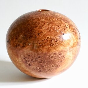 Red maple hollow form #2