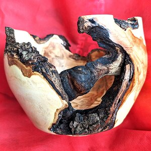 Oak burl bowl