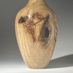 Elm Hollow Form