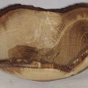 Live Edge Swamp Chestnut Oak Crotch