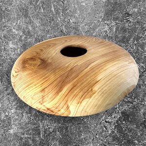 Arizona hollow form