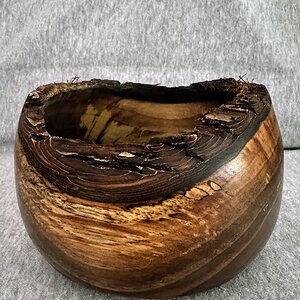 Calabash style walnut live edge