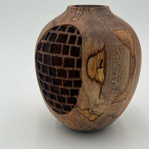 Ambrosia maple
