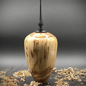 Poplar and Maple