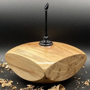 Sycamore and Maple