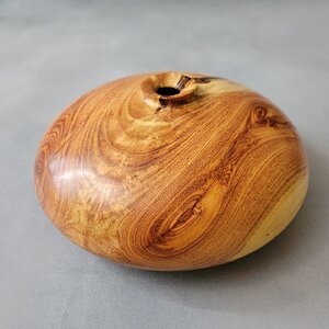 Honey Locust Hollow Form