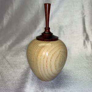 Tree of Heaven Hollow Form Box