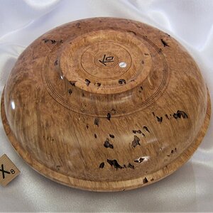 #2201 Big Leaf Maple burl