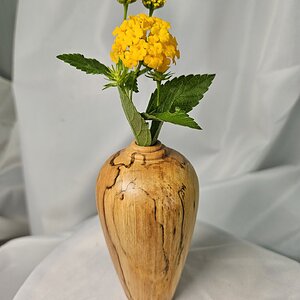 Twig Pot #2 of 3