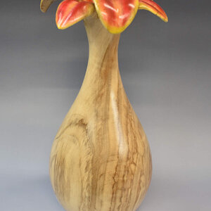 hollow form to a lily view 2