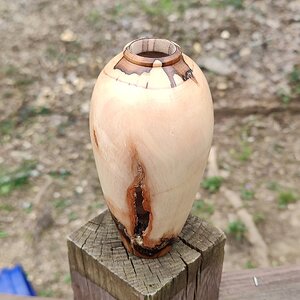 Dogwood Hollow Form