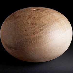 Media 'Large Hard Maple Hollow Form' in category 'Member Galleries'