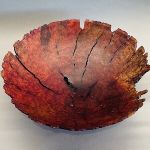 Manzanita burl bowl
