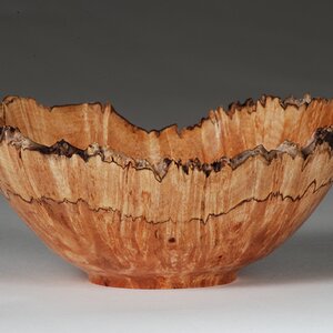 Maple Natural Edge bowl