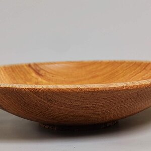 Shumard Oak Bowl