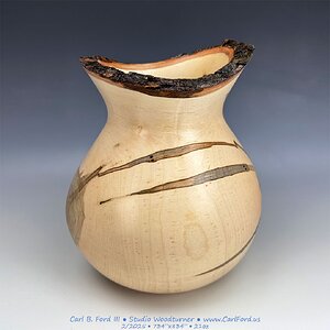 Tall Live Edge Ambrosia Maple Vase