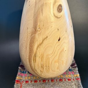 Elm hollow form
