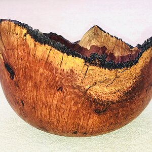 Natural Edge Redwood Burl