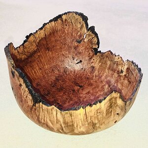 Natural Edge Redwood Burl Interior