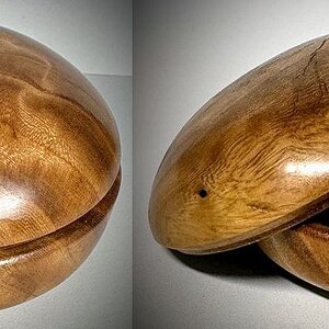 Elm crotch box
