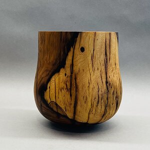 Desert ironwood calabash.