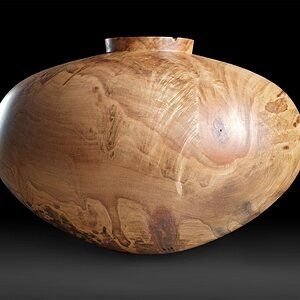 Ambrosia Maple Hollow Form