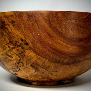 Spalted Birch bowl