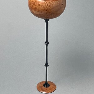 Media 'Drink in the beauty of the Redwood forest' in category 'Member Galleries'