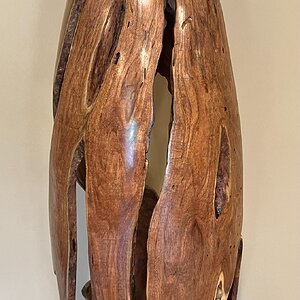Hill Country Mesquite (1)