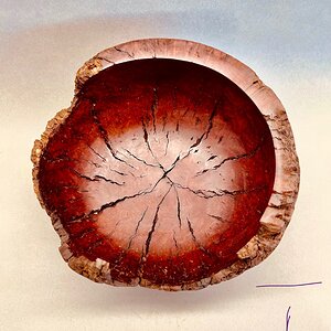 Manzanita