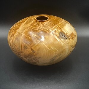 Maple HF #532