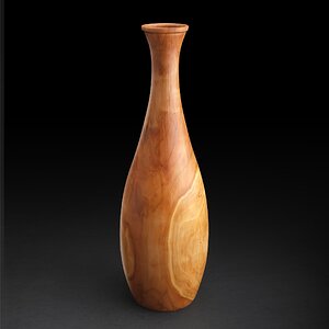 Apple Vase/Hollow Form