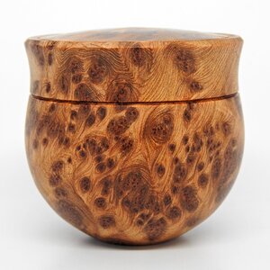 Sugi Cedar Burl Round Bottom Box