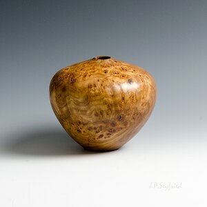 Elm Burl Hollow Form