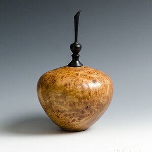 Elm Burl Hollow Form
