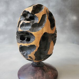 Spectre Meteorite