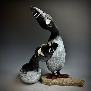 The Great Auk