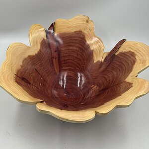 Cedar end grain bowl - interior
